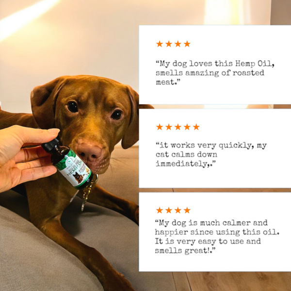 Full Spectrum Hemp oil for Dogs, Cats & Pets, Chicken Flavor - Image 8