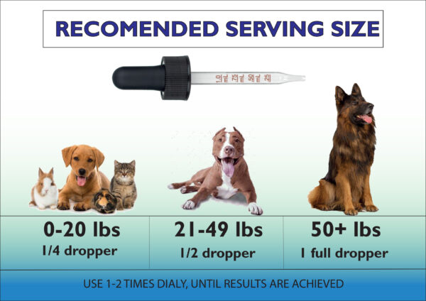 Full Spectrum Hemp oil for Dogs, Cats & Pets, Chicken Flavor - Image 5